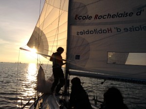 Ecole Rochelaise d'Habitables